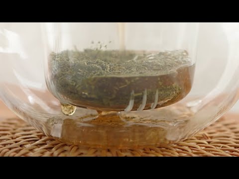 Green Tea Fresh Toner 